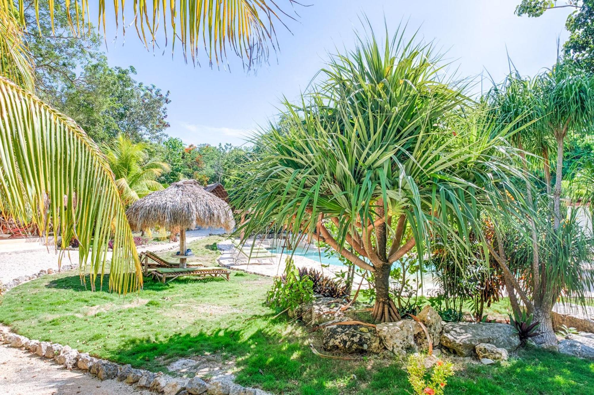 Villa Morena Boutique Hotel Ecoliving Akumal Ngoại thất bức ảnh